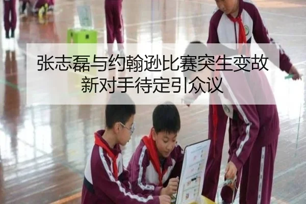 张志磊与约翰逊比赛突生变故 新对手待定引众议